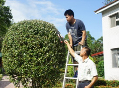 培苗修剪及割草技能學習