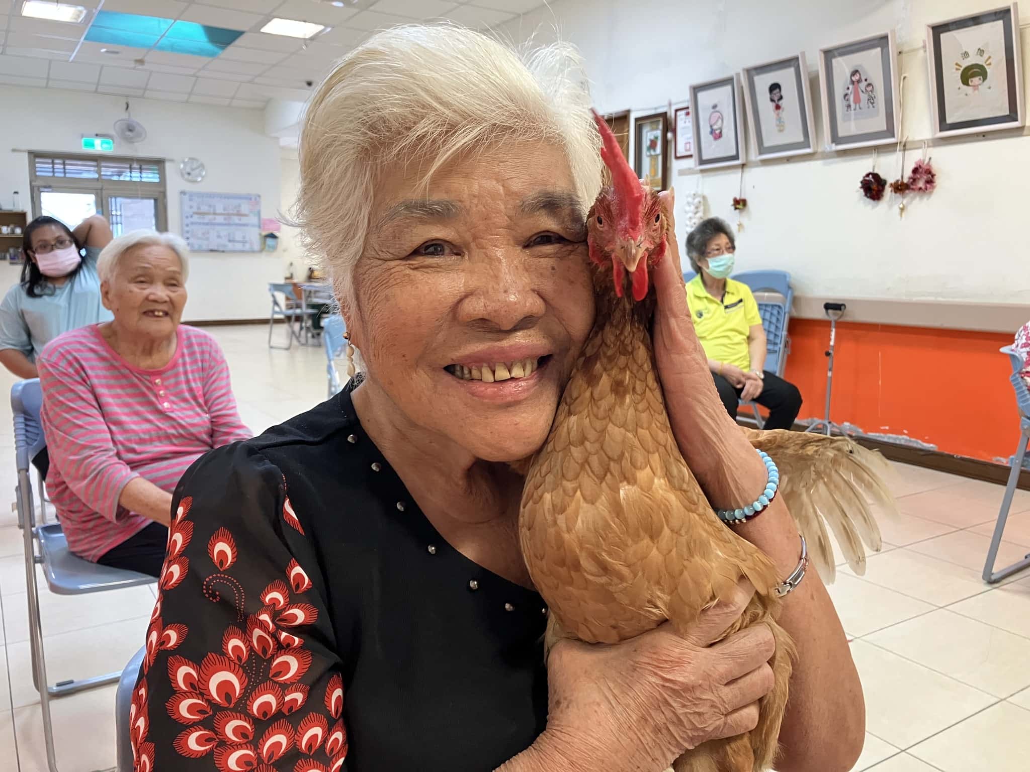 和細妹一起的快樂生活(標題圖檔)