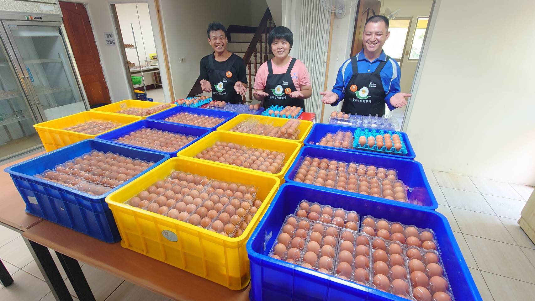 花蓮身心障礙者畜牧場發起「蛋蛋傳愛」自救行動 找尋500位善心人士(標題圖檔)