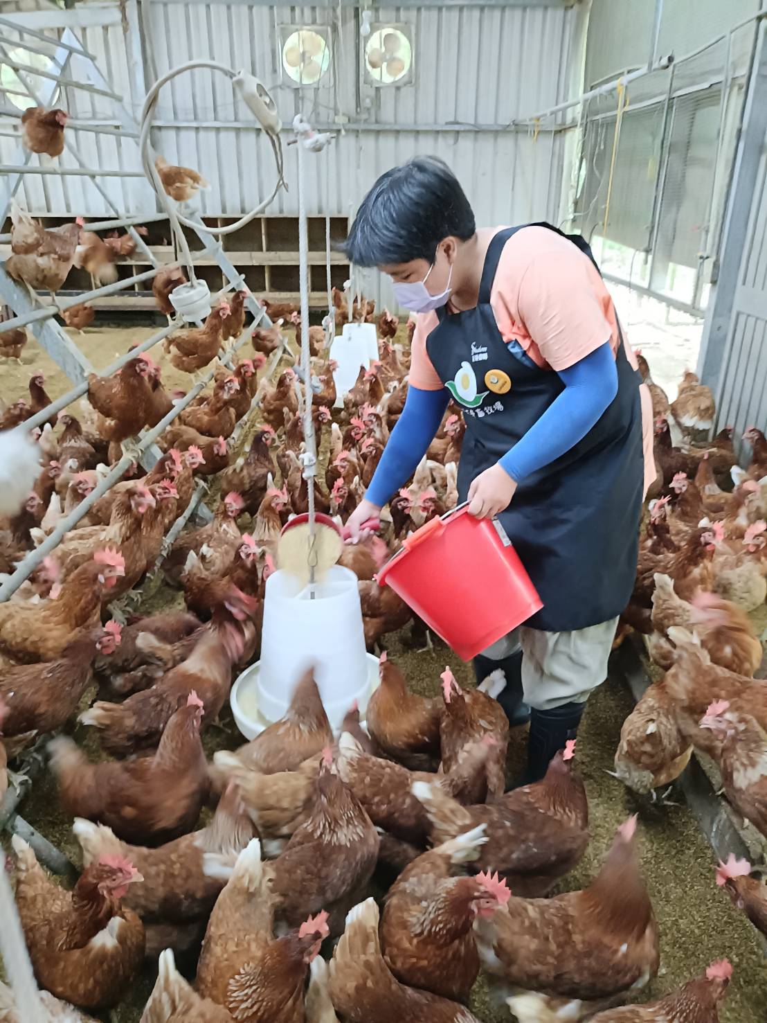 她的嶄新未來(標題圖檔)